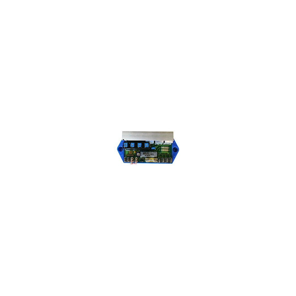Regolatore Di Tensione Alternatori 4v/R 7a E/P AVR006