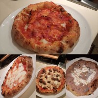 Vinco Forno Pizza elettrico 2200W 450° Vinco 50360 Pizza in 2 Minuti