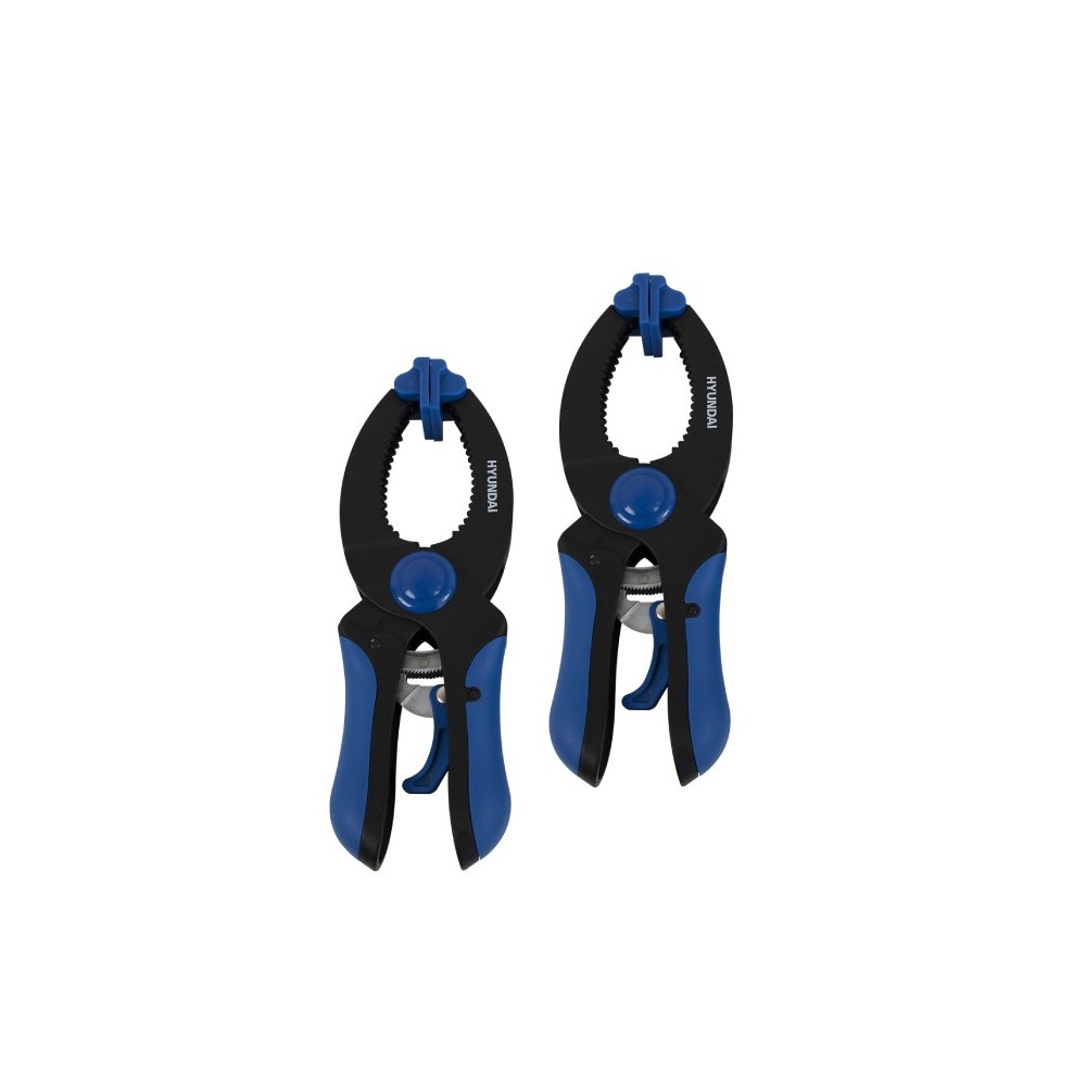 SET 2 MORSETTI A MOLLA A CRICCHETTO HYUNDAI 59849
